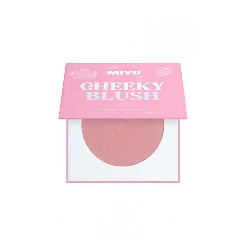CHEEKY BLUSH #01 